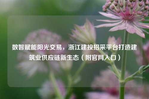 数智赋能阳光交易,浙江建投招采平台打造建筑业供应链新生态(附官网入口)