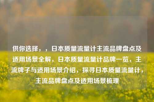 供你选择,,日本质量流量计主流品牌盘点及适用场景全解,日本质量流量计品牌一览,主流牌子与适用场景介绍,探寻日本质量流量计,主流品牌盘点及适用场景梳理