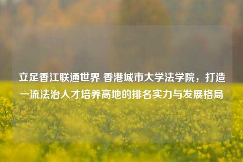 立足香江联通世界 香港城市大学法学院,打造一流法治人才培养高地的排名实力与发展格局