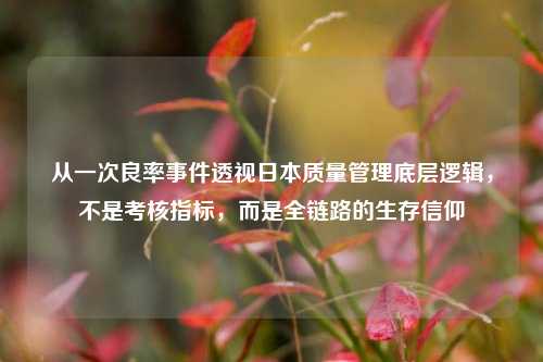 从一次良率事件透视日本质量管理底层逻辑，不是考核指标，而是全链路的生存信仰