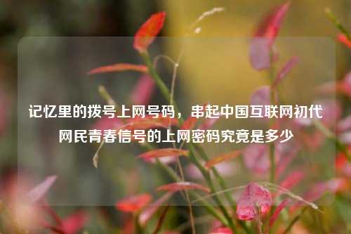 记忆里的拨号上网号码,串起中国互联网初代网民青春信号的上网密码究竟是多少