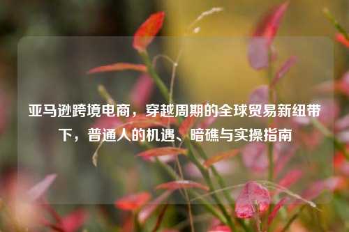 亚马逊跨境电商,穿越周期的全球贸易新纽带下,普通人的机遇、暗礁与实操指南