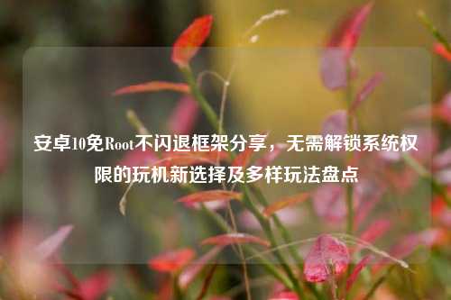 安卓10免Root不闪退框架分享,无需解锁系统权限的玩机新选择及多样玩法盘点