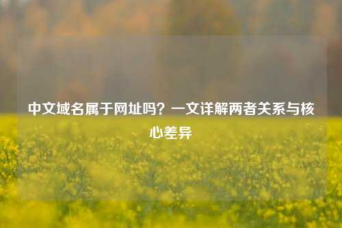 中文域名属于网址吗？一文详解两者关系与核心差异