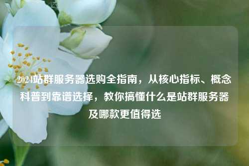 2024站群服务器选购全指南，从核心指标、概念科普到靠谱选择，教你搞懂什么是站群服务器及哪款更值得选