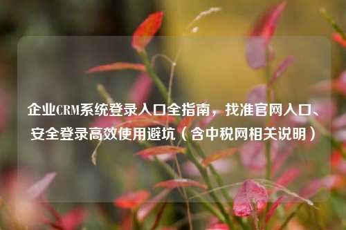 企业CRM系统登录入口全指南，找准官网入口、安全登录高效使用避坑（含中税网相关说明）