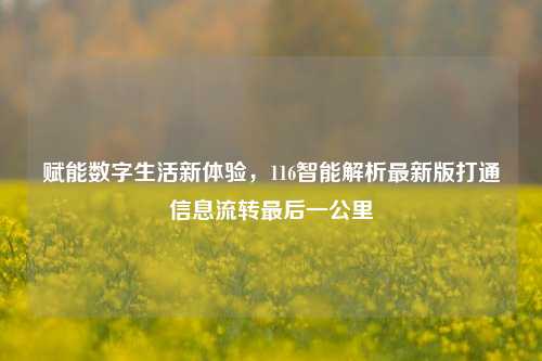 赋能数字生活新体验,116智能解析最新版打通信息流转最后一公里