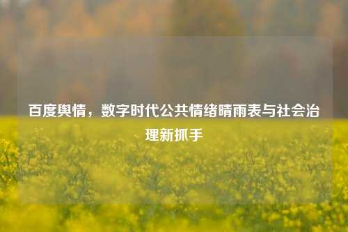 百度舆情，数字时代公共情绪晴雨表与社会治理新抓手
