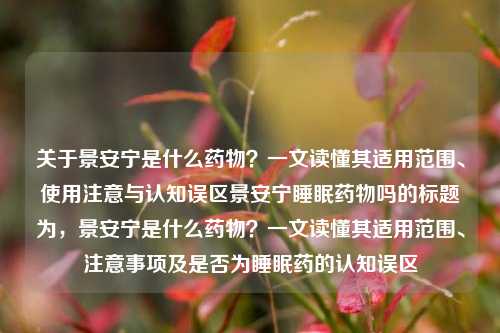 关于景安宁是什么药物？一文读懂其适用范围、使用注意与认知误区景安宁睡眠药物吗的标题为，景安宁是什么药物？一文读懂其适用范围、注意事项及是否为睡眠药的认知误区