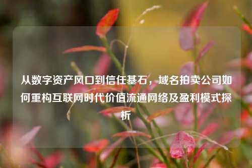 从数字资产风口到信任基石，域名拍卖公司如何重构互联网时代价值流通网络及盈利模式探析