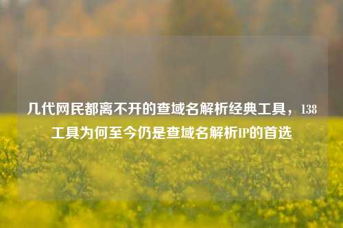 几代网民都离不开的查域名解析经典工具，138工具为何至今仍是查域名解析IP的首选