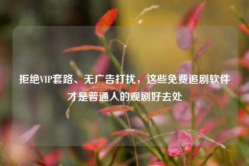 拒绝VIP套路、无广告打扰,这些免费追剧软件才是普通人的观剧好去处