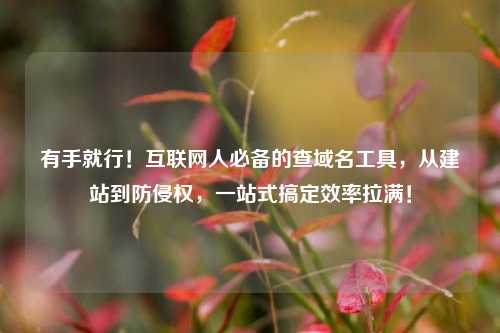 有手就行！互联网人必备的查域名工具，从建站到防侵权，一站式搞定效率拉满！