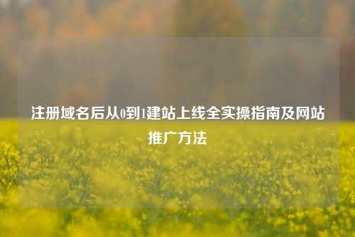 注册域名后从0到1建站上线全实操指南及网站推广方法