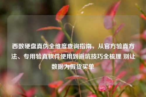 西数硬盘真伪全维度查询指南，从官方验真方法、专用验真软件使用到避坑技巧全梳理 别让数据为假货买单