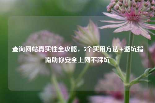 查询网站真实性全攻略，5个实用方法+避坑指南助你安全上网不踩坑