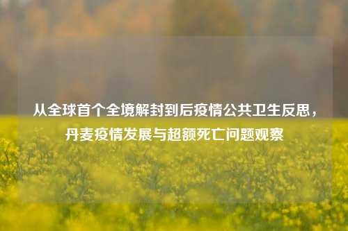 从全球首个全境解封到后疫情公共卫生反思，丹麦疫情发展与超额死亡问题观察