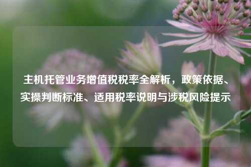 主机托管业务增值税税率全解析，政策依据、实操判断标准、适用税率说明与涉税风险提示
