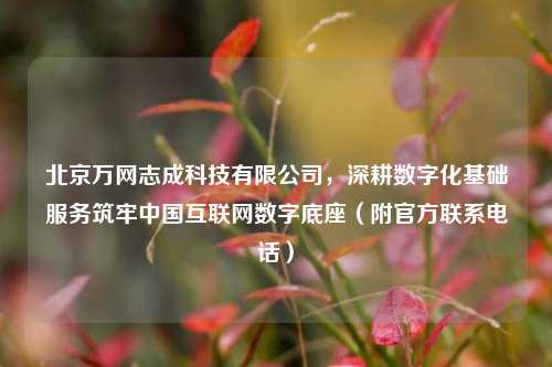 北京万网志成科技有限公司，深耕数字化基础服务筑牢中国互联网数字底座（附官方联系电话）