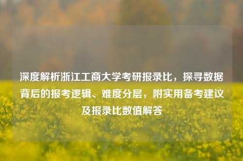 深度解析浙江工商大学考研报录比,探寻数据背后的报考逻辑、难度分层,附实用备考建议及报录比数值解答