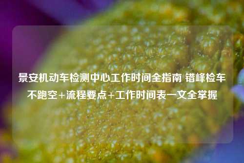 景安机动车检测中心工作时间全指南 错峰检车不跑空+流程要点+工作时间表一文全掌握