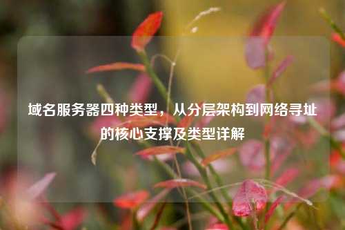 域名服务器四种类型，从分层架构到网络寻址的核心支撑及类型详解