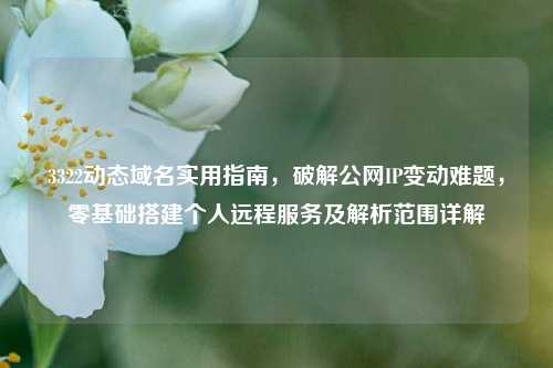 3322动态域名实用指南，破解公网IP变动难题，零基础搭建个人远程服务及解析范围详解