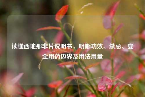 读懂西地那非片说明书，明晰功效、禁忌、安全用药边界及用法用量