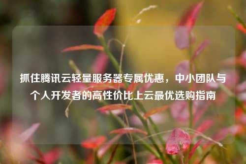 抓住腾讯云轻量服务器专属优惠，中小团队与个人开发者的高性价比上云最优选购指南