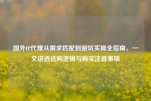 国外IP代理从需求匹配到避坑实操全指南，一文讲透选购逻辑与购买注意事项