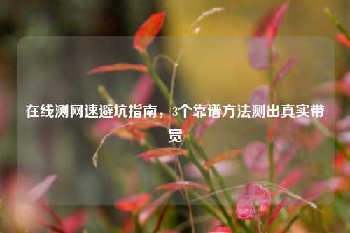 在线测网速避坑指南，3个靠谱方法测出真实带宽