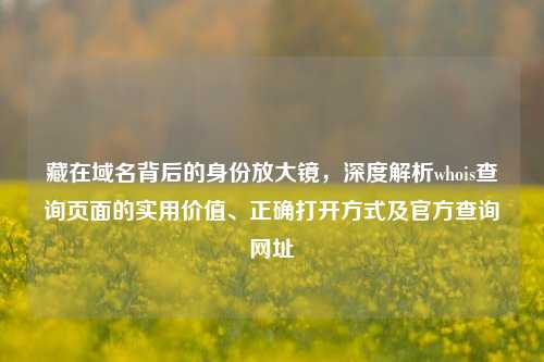 藏在域名背后的身份放大镜，深度解析whois查询页面的实用价值、正确打开方式及官方查询网址