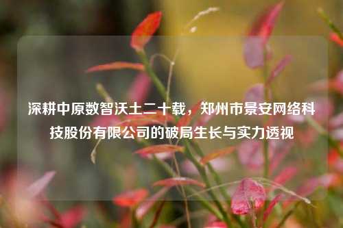 深耕中原数智沃土二十载，郑州市景安网络科技股份有限公司的破局生长与实力透视