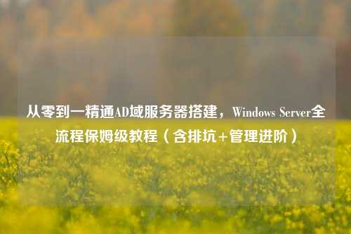 从零到一精通AD域服务器搭建，Windows Server全流程保姆级教程（含排坑+管理进阶）