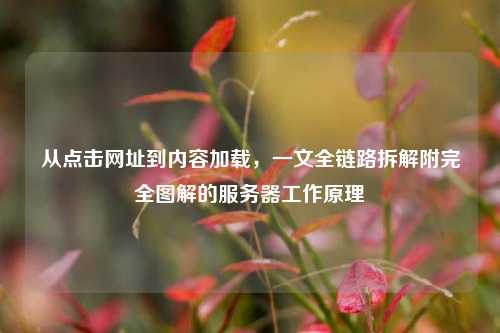 从点击网址到内容加载，一文全链路拆解附完全图解的服务器工作原理