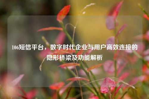 106短信平台，数字时代企业与用户高效连接的隐形桥梁及功能解析