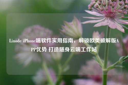 Linode iPhone端软件实用指南,解锁欧美破解版APP优势 打造随身云端工作站