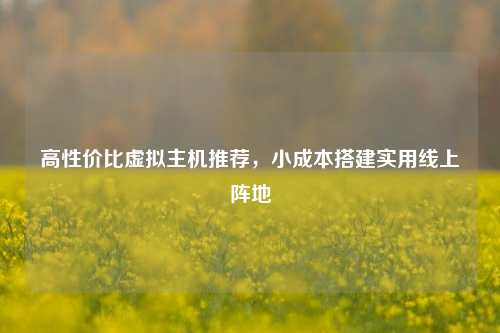 高性价比虚拟主机推荐，小成本搭建实用线上阵地