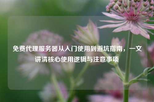 免费代理服务器从入门使用到避坑指南，一文讲清核心使用逻辑与注意事项