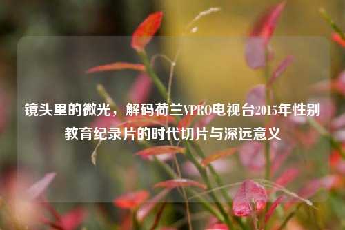 镜头里的微光，解码荷兰VPRO电视台2015年性别教育纪录片的时代切片与深远意义