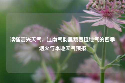 读懂嘉兴天气,江南气韵里藏着接地气的四季烟火与本地天气预报