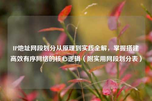 IP地址网段划分从原理到实践全解，掌握搭建高效有序网络的核心逻辑（附实用网段划分表）