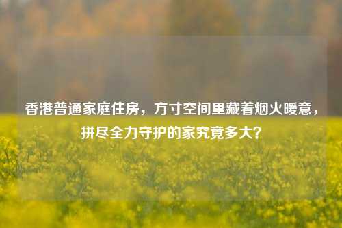 香港普通家庭住房，方寸空间里藏着烟火暖意，拼尽全力守护的家究竟多大？
