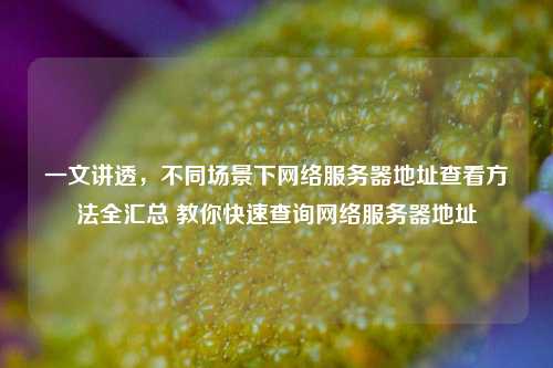 一文讲透，不同场景下网络服务器地址查看方法全汇总 教你快速查询网络服务器地址