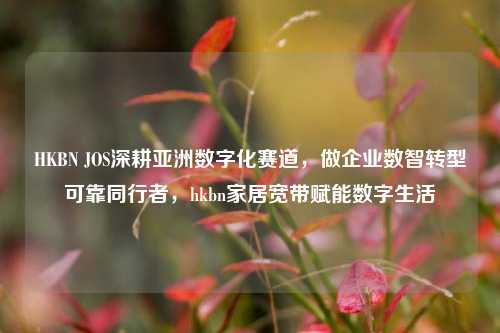 HKBN JOS深耕亚洲数字化赛道，做企业数智转型可靠同行者，hkbn家居宽带赋能数字生活