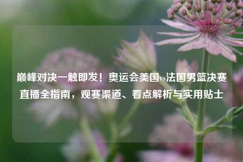 巅峰对决一触即发！奥运会美国vs法国男篮决赛直播全指南，观赛渠道、看点解析与实用贴士