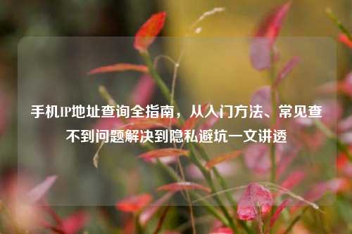 手机IP地址查询全指南，从入门方法、常见查不到问题解决到隐私避坑一文讲透