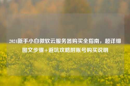 2024新手小白微软云服务器购买全指南，超详细图文步骤+避坑攻略附账号购买说明