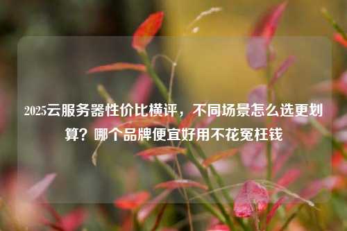 2025云服务器性价比横评，不同场景怎么选更划算？哪个品牌便宜好用不花冤枉钱