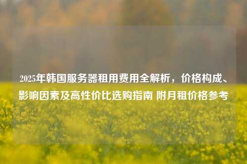 2025年韩国服务器租用费用全解析，价格构成、影响因素及高性价比选购指南 附月租价格参考